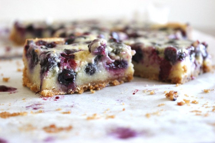 Blueberry Custard Pie