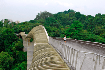 outdoor-activities-at-southern-ridges