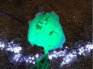 Glow in the Dark Candy Floss.png
