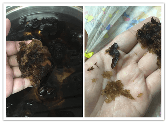 Making Cheng Teng Dessert